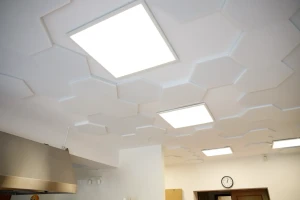 Panel akustyczny poliestrowy w kształcie heksagonów biały 2 i 4 cm  – zdjęcie 4