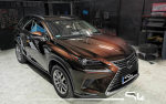 Zdjęcie 1 (plik 10mm): Grafitowy Lexus NX w warsztacie przygotowany do kompleksowego wyciszenia drzwi nadkoli i bagażnika materiałami Bitmat